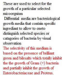 Labster - Bacterial Isolation Extension